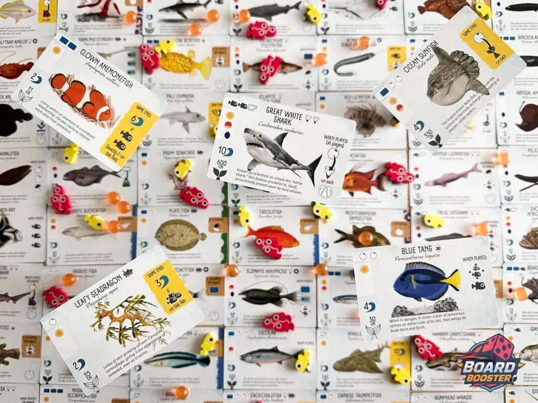 上半年的10款必玩桌游请你来打分！CQ9电子平台网站回顾2025年(图9)